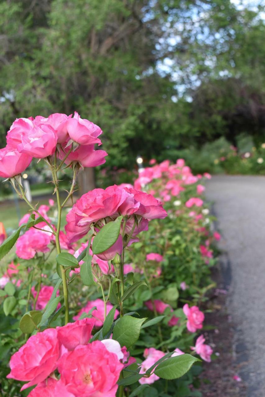 Warm Springs Inn & Winery Sunnyslope ภายนอก รูปภาพ
